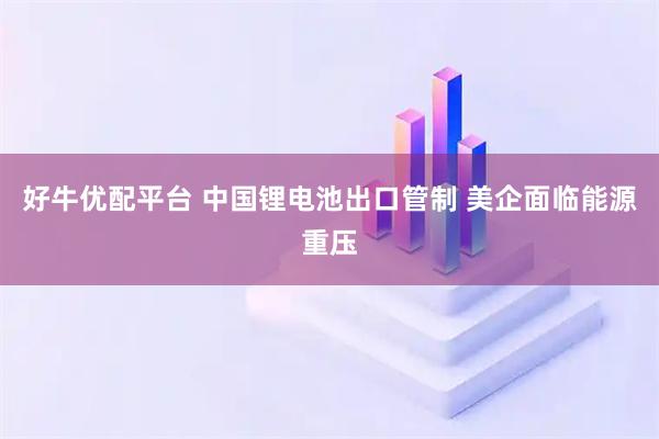 好牛优配平台 中国锂电池出口管制 美企面临能源重压